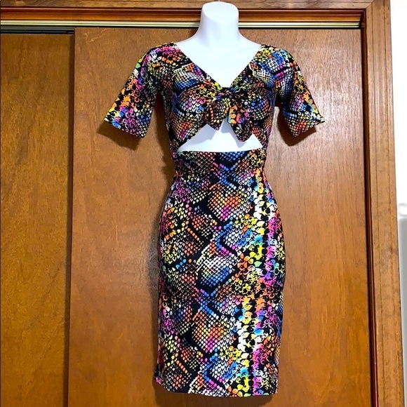 Dresses & Skirts - Multi-Colored Snake Skin Dress